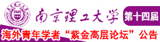 美女操机巴南京理工大学第十四届海外青年学者紫金论坛诚邀海内外英才！